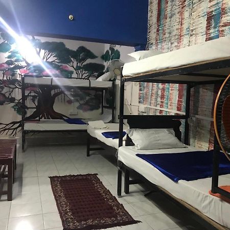 Brisbane Lodge & Hostel Kochi Exteriör bild